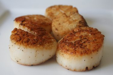 Seared scallops