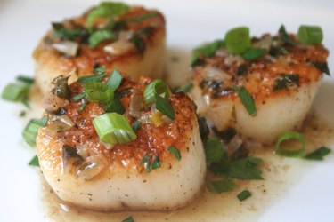 Scallops