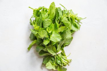 Bundle of fresh mint.