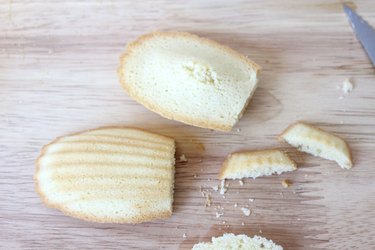 madeleine shells