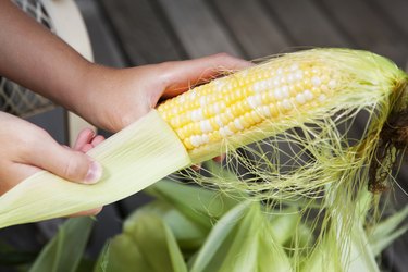 Hand Shucking Corn on the Cob