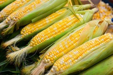 Corn cobs for sale in market