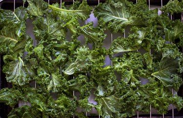 How to Bake Kale Chips