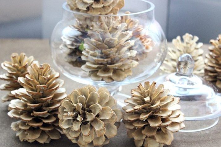 Give your backyard pine cones a winter wonderland makeover.