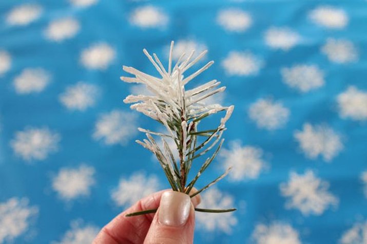 sprig of pine coated with white paint