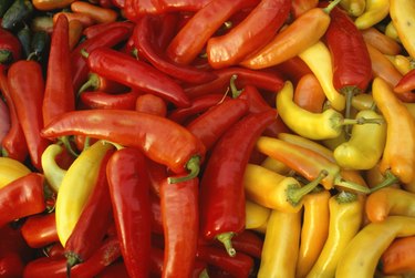 Chilli peppers, Chile, (Close-up)